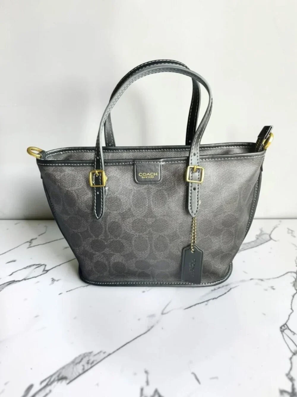 Coach classic mini